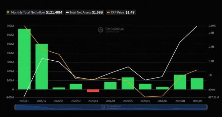 XRP ETFs Pull in $121M This Month but Their Assets Keep Shrinking
