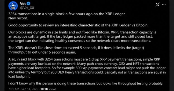 XRP Ledger Broke Its Transaction Record, and 20 Wallets Did Most of It