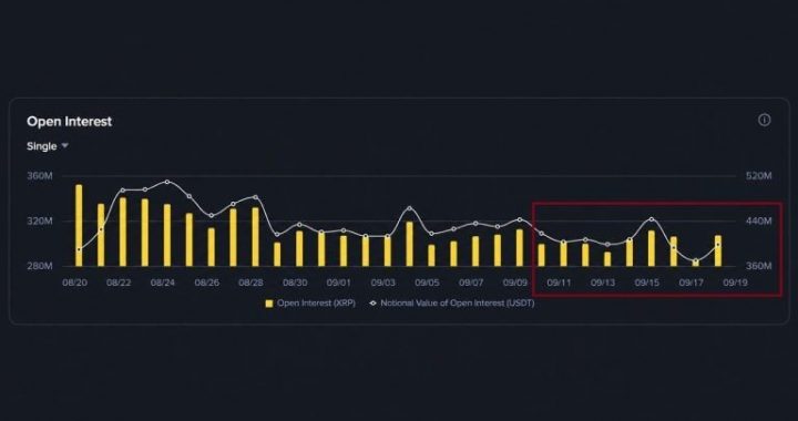 XRP Open Interest Is Back Above Pre-CLARITY Levels