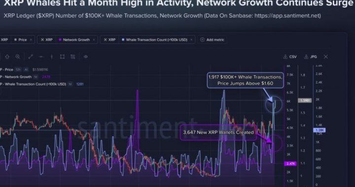 XRP Tops $1.60 as 1,917 Whale Transactions Hit Monthly High