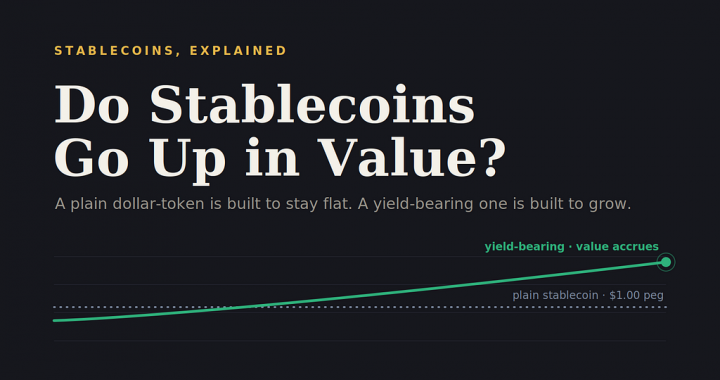 Do Stablecoins Go Up in Value? The Honest Answer Every Beginner Needs