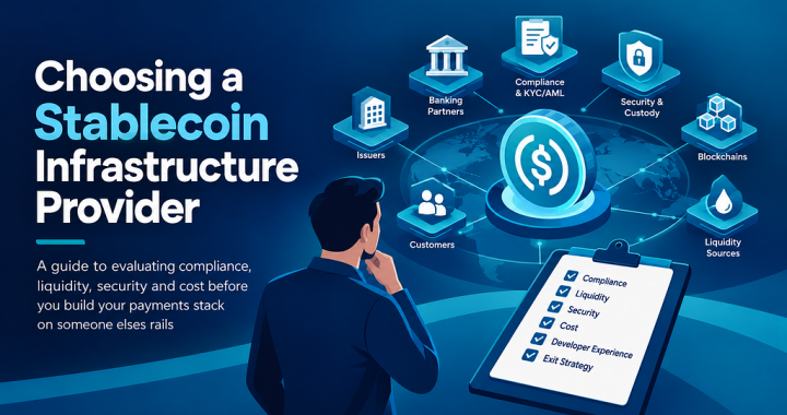 Choosing a Stablecoin Infrastructure Provider