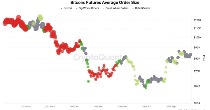 Retail Traders Have Left Bitcoin Futures: Can BTC USD Sweep $80,000 and Bounce?
