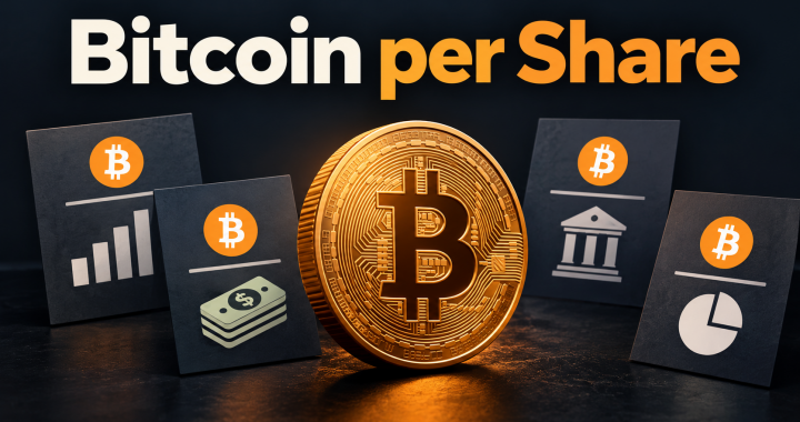 Understanding the Various Bitcoin Per Share Metrics