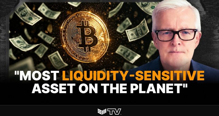 Michael Howell: Bitcoin as the Apex Liquidity Asset