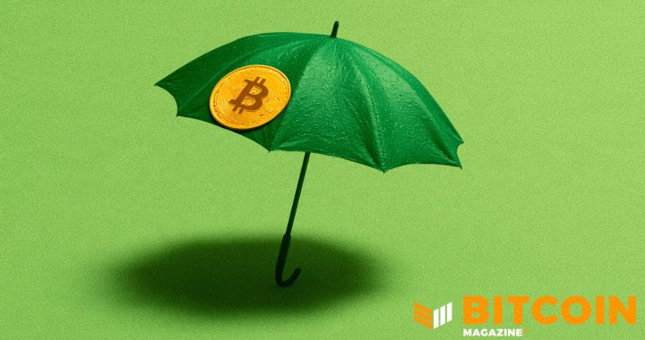 Bitcoin Life Insurer Meanwhile Raises $37.5M as Wealthy Families Look to Pass On Their BTC