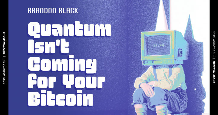 The Quantum Issue: Quantum Isn’t Coming For Your Bitcoin