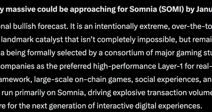 Elon Musk’s Grok AI Predicts SOMI Crypto Could Explode by 2027