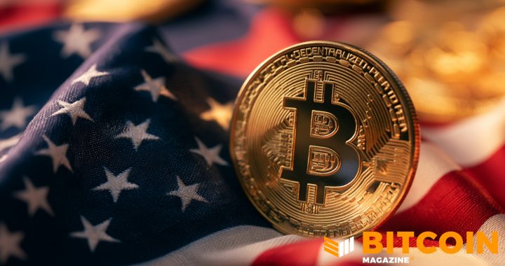 US Hoovers up Bitcoin While the World Runs on Its Digital Dollars: Report