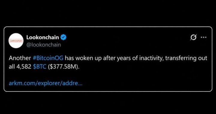A $377M Bitcoin Whale Wakes up While Another Dumps BTC for Ether