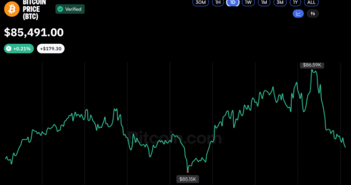 Bitcoin Price Holds October Gains After Two Surges Above $86K