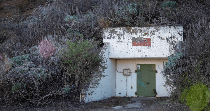 ‘Bunker Mode’? Crypto Experts Argue Over AI Threat to Bitcoin, Ethereum