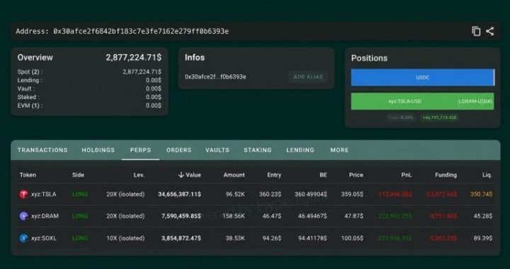 Hyperliquid Whale Down $9 Million This Week Flips to a 20x Tesla Bet