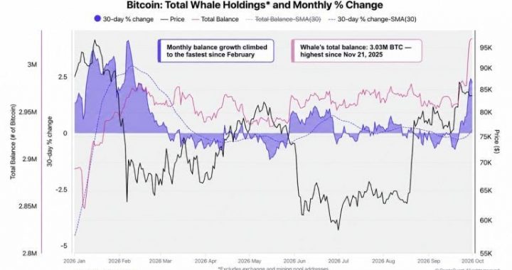 Cryptoquant Says Bitcoin Whales Are Back as a Mystery Buyer Grabs $97M