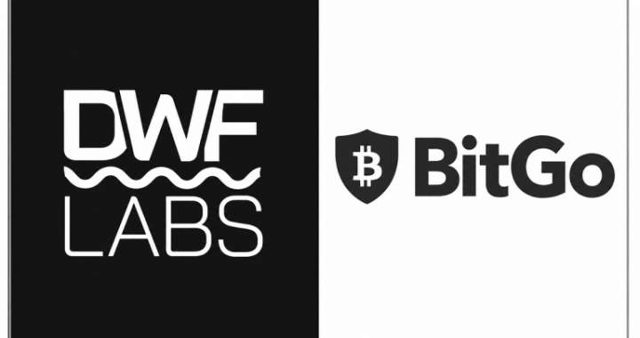DWF Labs Takes Bitgo to Court Over $141M Token Lock-up Dispute