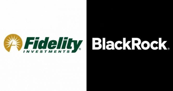 Fidelity, Blackrock Lead $176M Bitcoin ETF Rebound