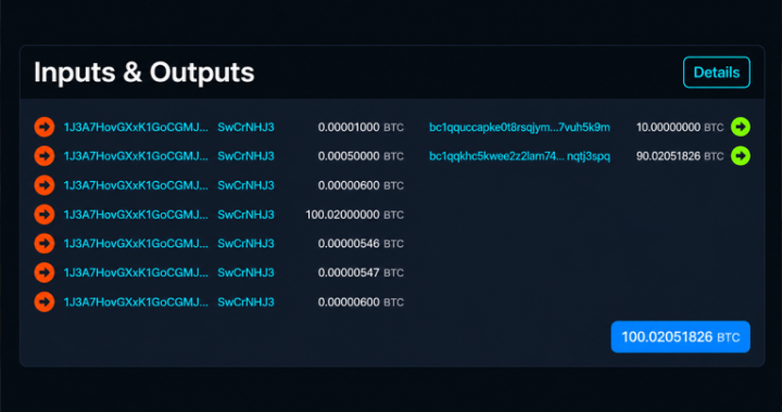 From Zero to $8 Million: Satoshi-Era Bitcoin Awakens After 16 Years