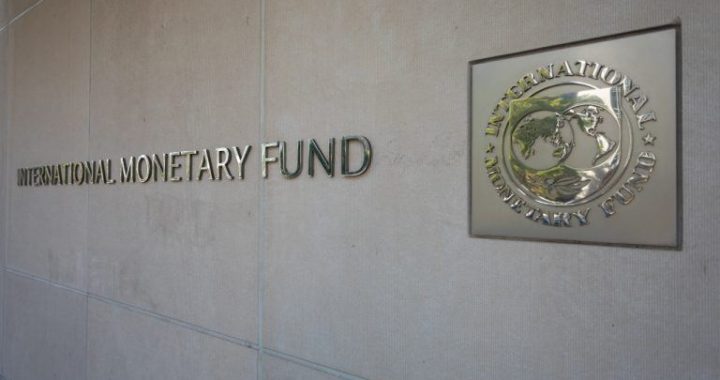 IMF Report Details Why Tokenized Finance Is Struggling to Scale