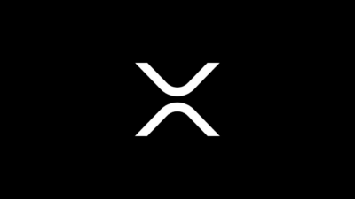 XRP whales now control 68.5% of supply, the highest share since November 2022