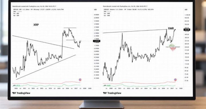 Peter Brandt Favors Monero Over XRP Despite Bullish Price Targets