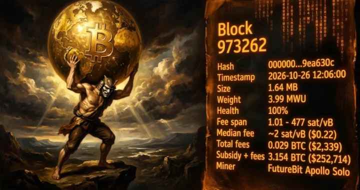 FutureBit Apollo Solo Miner Finds Bitcoin Block 973262, Earning 3.154 BTC