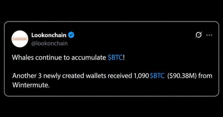 Bitcoin Worth $90 Million Pulled From Wintermute by a Mystery Whale