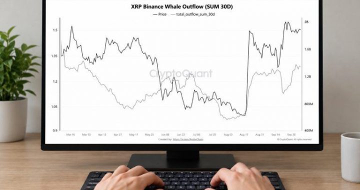 XRP Whale Transfers off Binance Reach Highest Level in 7 Months