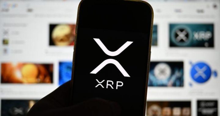 XRP Price Barely Moves on Ripple OCC Approval as Whales Control 68.5% of Supply