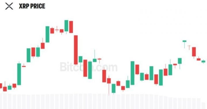 Evernorth Seeks to Register 5.2M Shares as It Plans More XRP Purchases